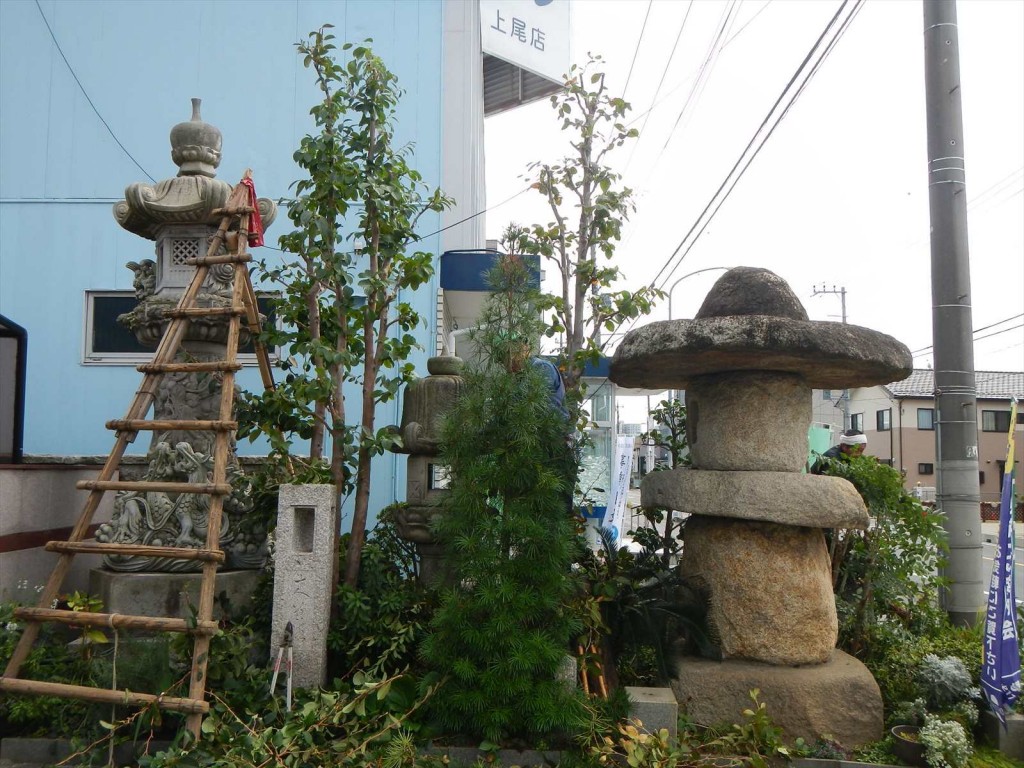 秋の剪定 枝打 手入れ 植木職人 植木屋 造園業DSCN5741