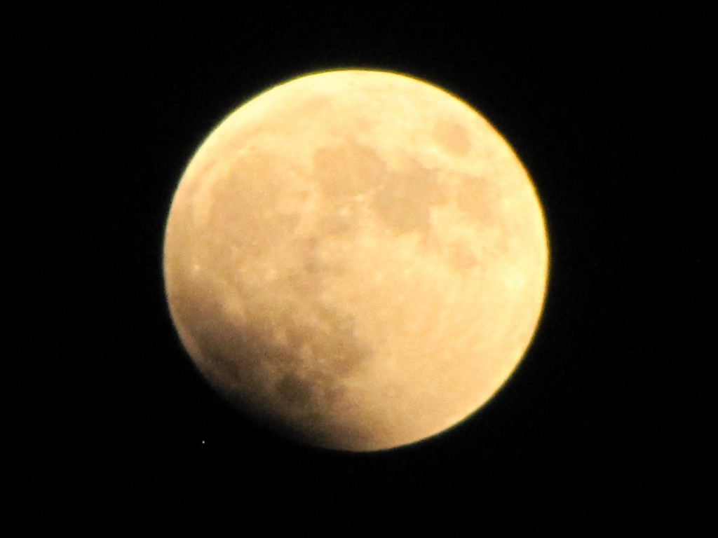 2014年10月8日 皆既月蝕 赤い月IMG_0248