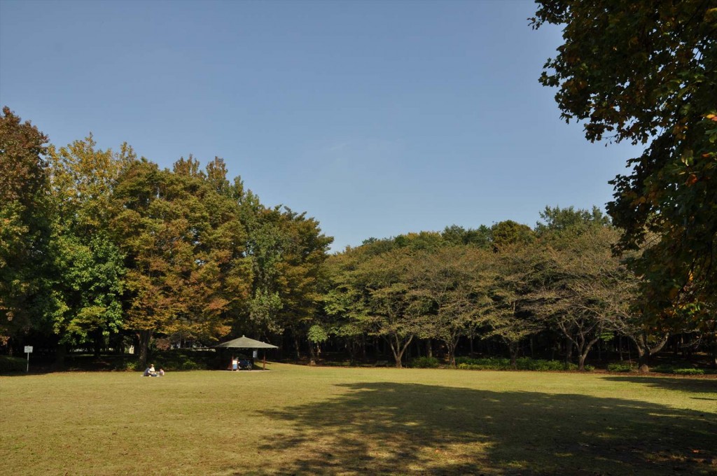 20141025 上尾市の平塚公園の紅葉DSC_0236_
