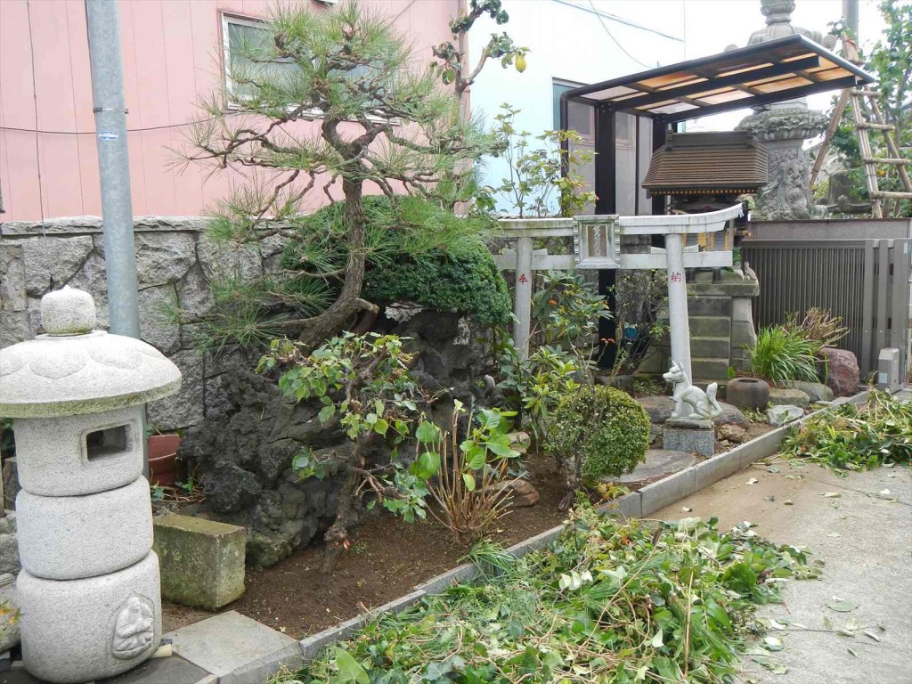 秋の剪定 枝打 手入れ 植木職人 植木屋 造園業DSCN5739