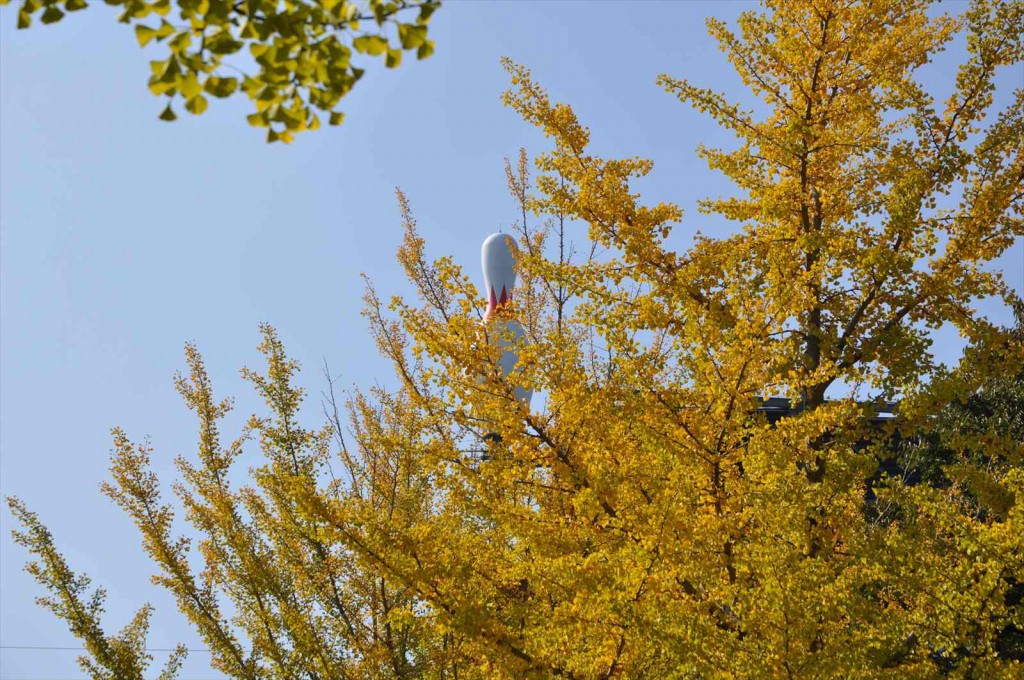 20141025 上尾市の平塚公園の紅葉DSC_0232_