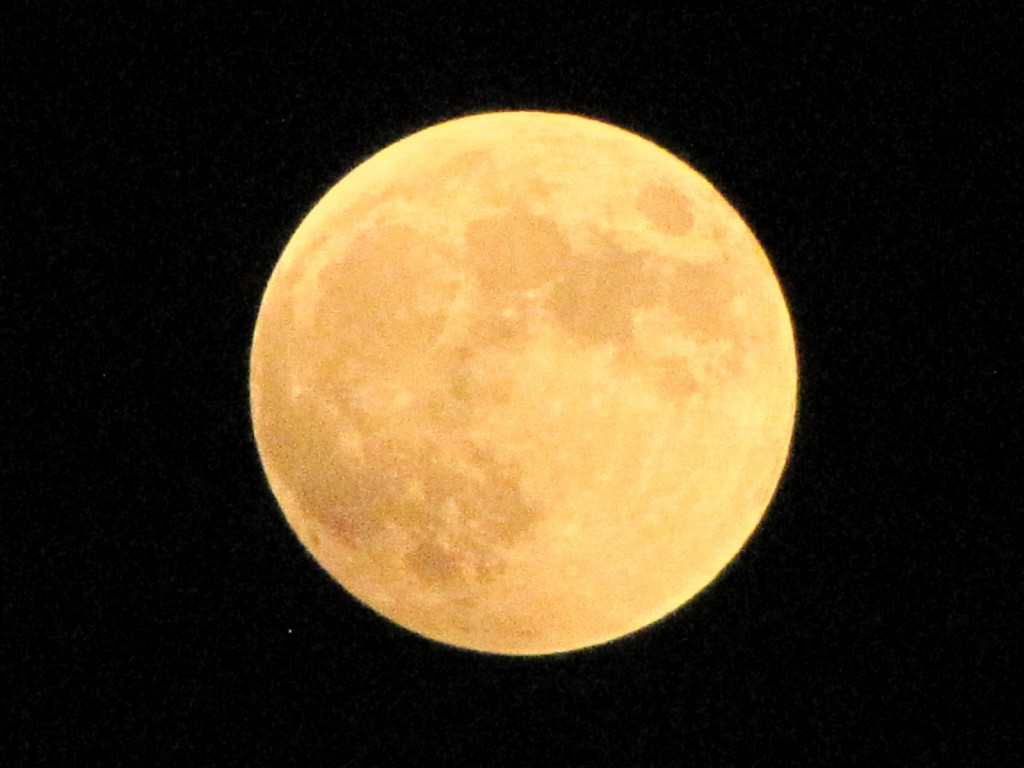2014年10月8日 皆既月蝕 赤い月IMG_0239