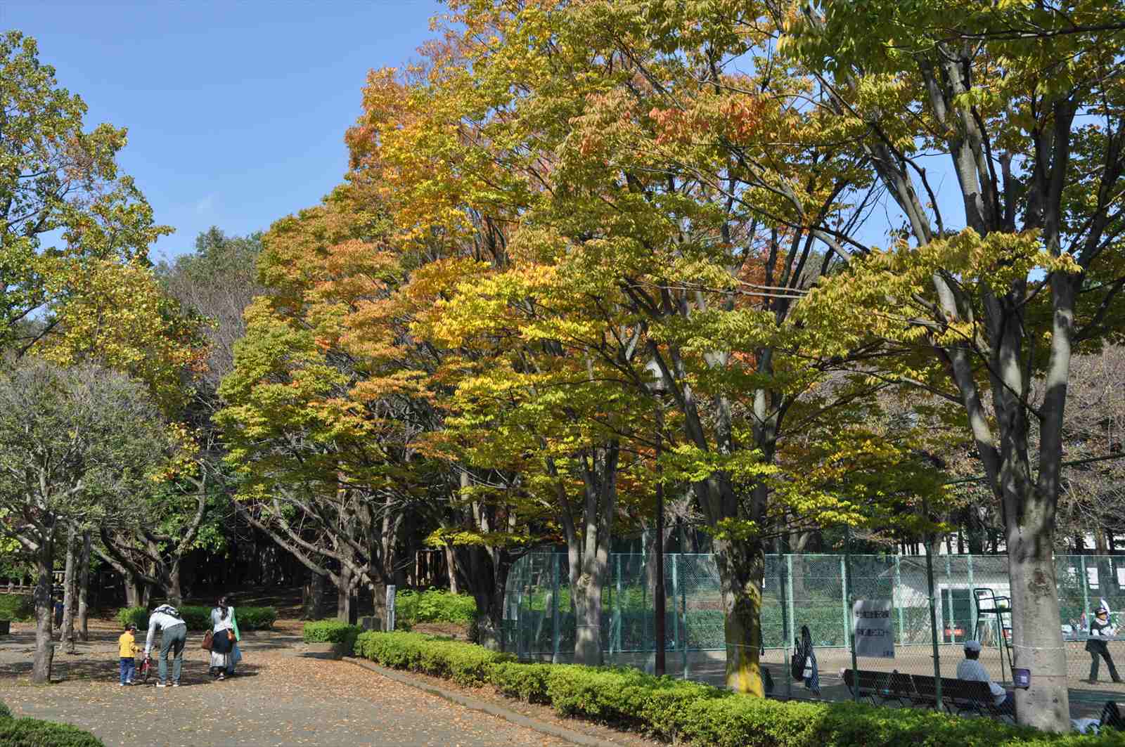上尾 平塚 公園