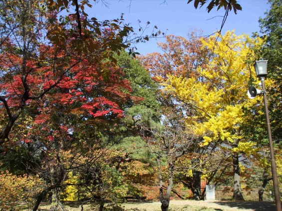 20141030 長野県上田城跡公園の紅葉DSCF6076