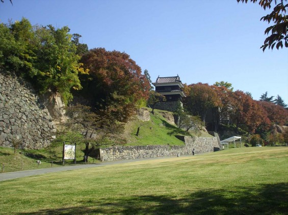 20141030 長野県上田城跡公園の紅葉DSCF6093