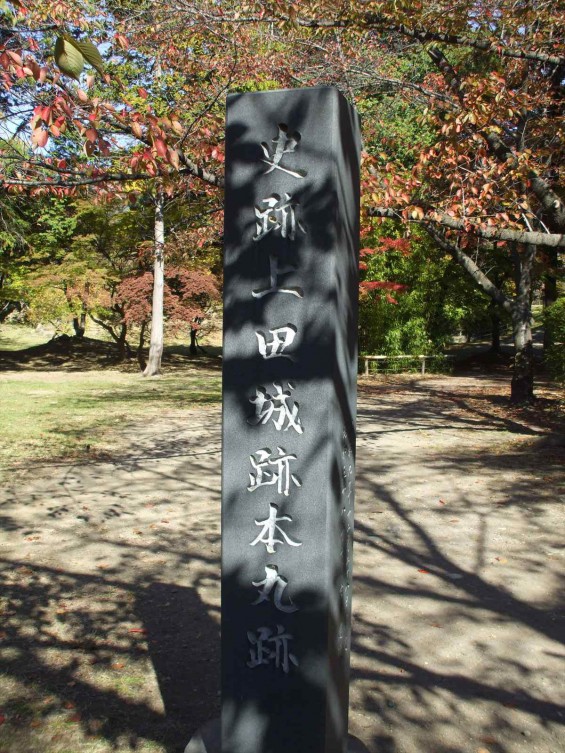 20141030 長野県上田城跡公園の紅葉DSCF6078