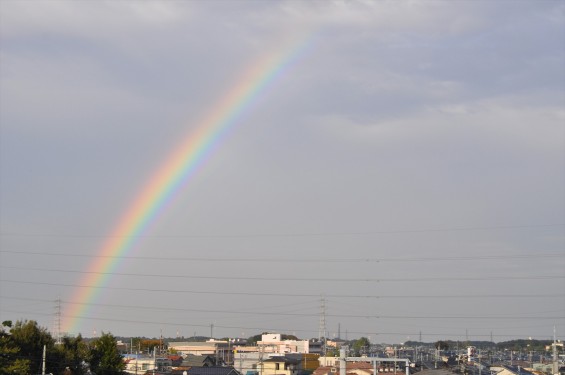 2014年11月6日に見えた虹 埼玉県 上尾市DSC_0046