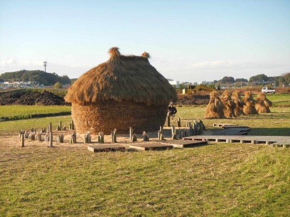 2014年11月14日 さいたま市営霊園に行く途中で見かけた、見沼田んぼの「フナノ」DSCN5872