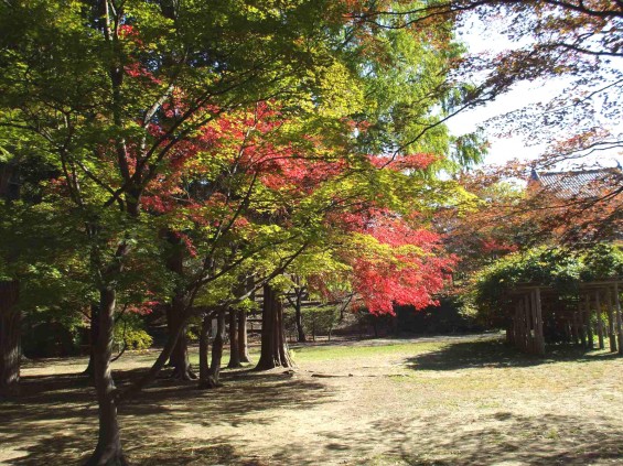 20141030 長野県上田城跡公園の紅葉DSCF6070