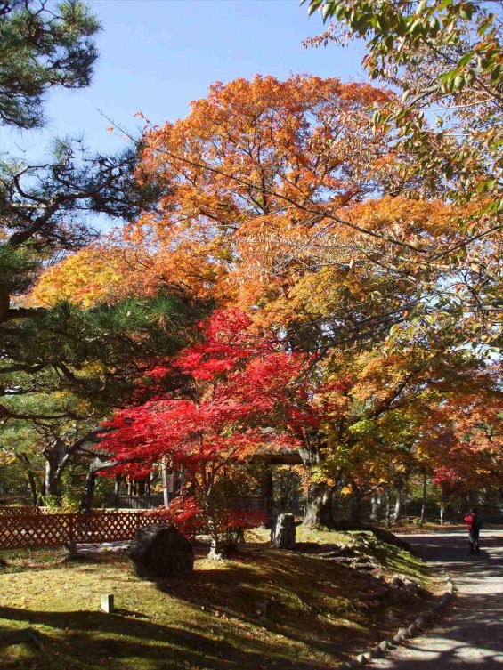 20141030 長野県懐古園（小諸城跡）の紅葉DSCF6036_