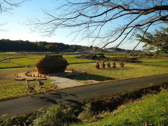 2014年11月14日 さいたま市営霊園に行く途中で見かけた、見沼田んぼの「フナノ」DSCN5860