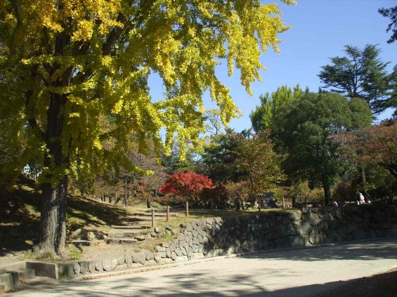 20141030 長野県上田城跡公園の紅葉DSCF6069