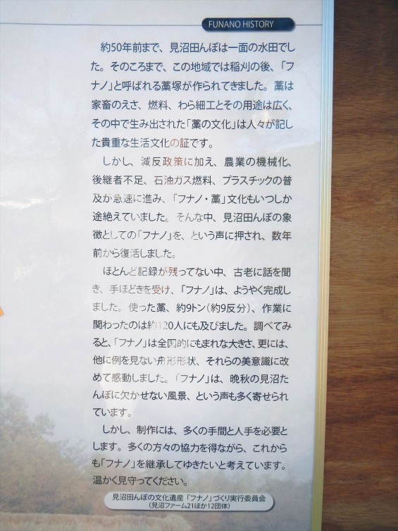 2014年11月14日 さいたま市営霊園に行く途中で見かけた、見沼田んぼの「フナノ」DSCN5871