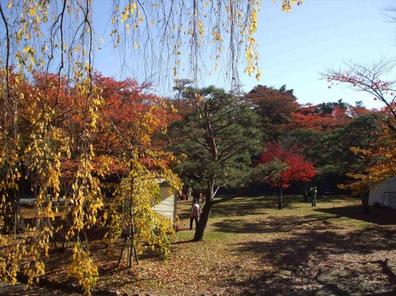 20141030 長野県懐古園（小諸城跡）の紅葉DSCF6050_