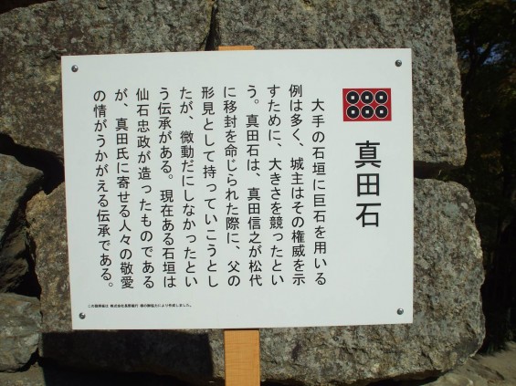 20141030 長野県上田城跡公園の紅葉DSCF6079