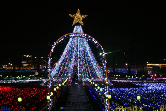 2014-2015 東武動物公園 イルミネーション