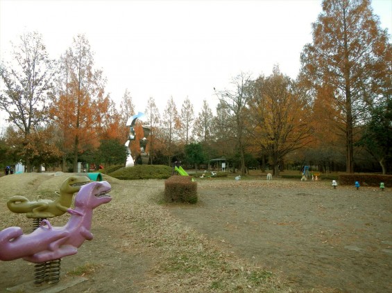 伊奈町町制記念公園 紅葉 晩秋 初冬 12月DSCN6436