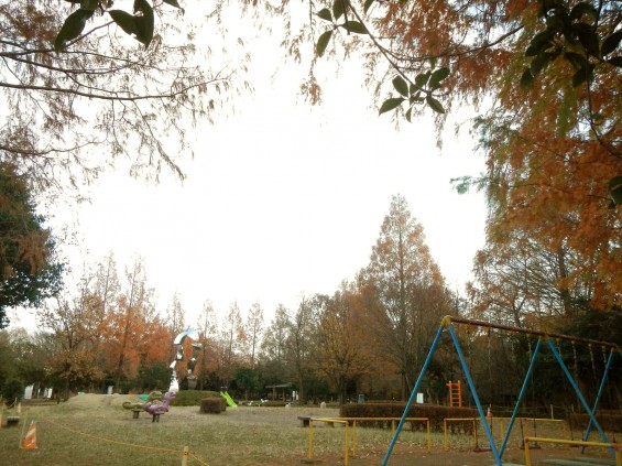 伊奈町町制記念公園 紅葉 晩秋 初冬 12月DSCN6435