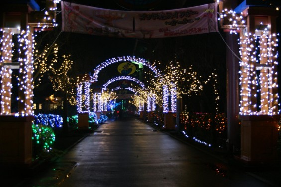 2014-2015 東武動物公園 イルミネーション