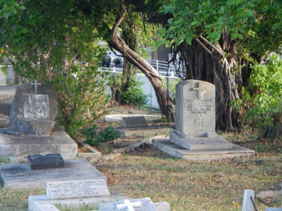 沖縄県那覇港のペルリ提督上陸の地、泊外人墓地DSCN5956