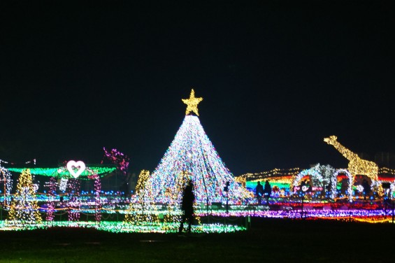 2014-2015 東武動物公園 イルミネーション