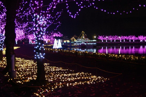 2014-2015 東武動物公園 イルミネーション