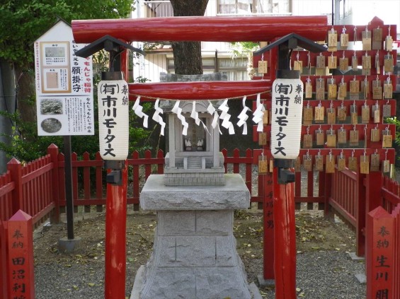 埼玉県鴻巣市 鴻神社（こうじんじゃ） なんじゃもんじゃ稲荷 IMGP0379