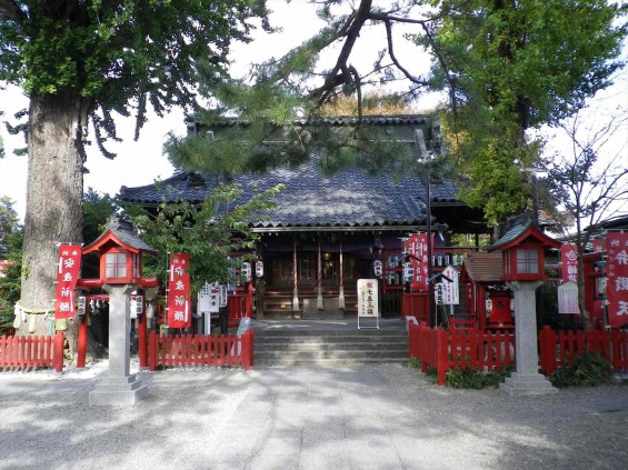 埼玉県鴻巣市 鴻神社（こうじんじゃ） IMGP0382