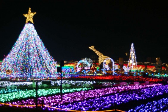 2014-2015 東武動物公園 イルミネーション