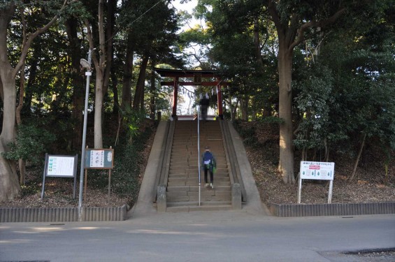 氷川三社に初詣　氷川女体神社DSC_0004参道 石段 鳥居