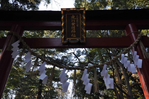 氷川三社に初詣　氷川女体神社DSC_0007鳥居