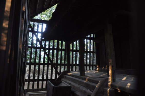 氷川三社に初詣　中山神社 旧社殿DSC_0067