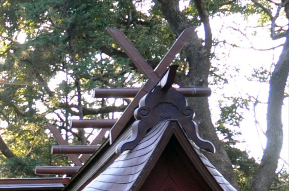 氷川三社に初詣　氷川女体神社DSC_0019-千木 内削ぎ 女神