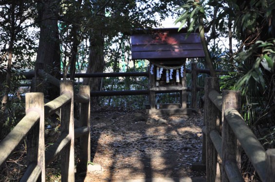 氷川三社に初詣　氷川女体神社DSC_0039磐船祭祭祀遺跡