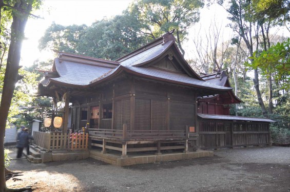 氷川三社に初詣　氷川女体神社DSC_0018拝殿と本殿