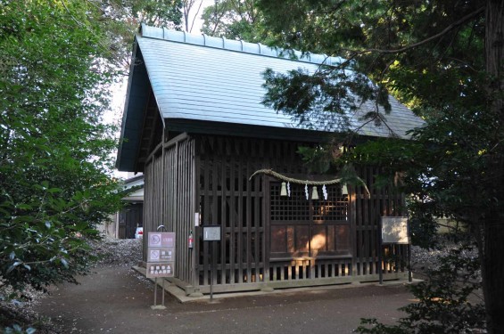 氷川三社に初詣　中山神社 旧社殿DSC_0063