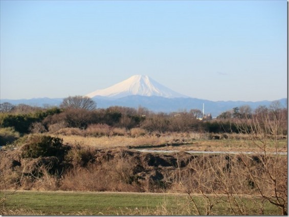 20150112 西上尾メモリアルガーデン　墓苑から臨む富士山2