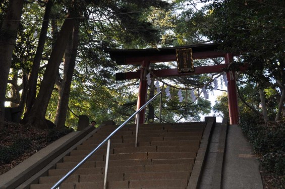 氷川三社に初詣　氷川女体神社DSC_0006参道 石段 鳥居