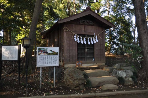 氷川三社に初詣　氷川女体神社DSC_0015竜神社