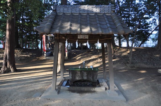 氷川三社に初詣　中山神社DSC_0052