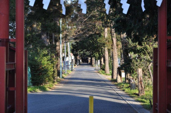 氷川三社に初詣　中山神社DSC_0076