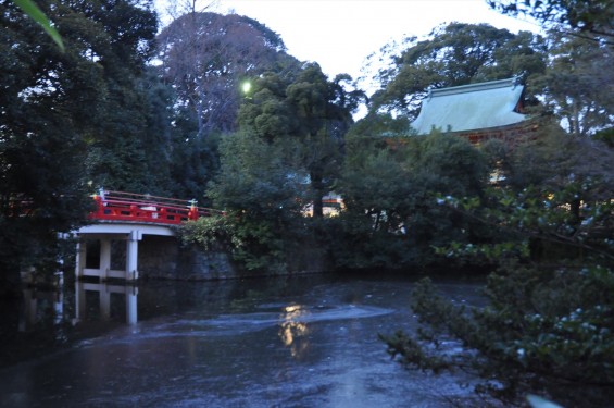 20150104 氷川神社に初詣DSC_0089