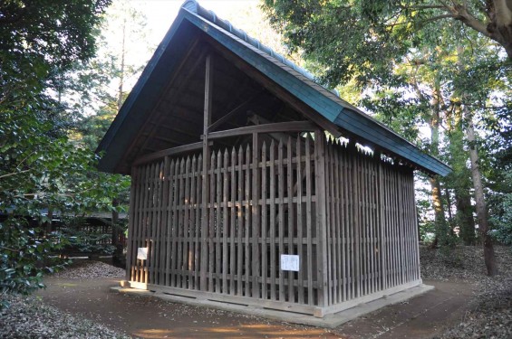 氷川三社に初詣　中山神社 旧社殿DSC_0069