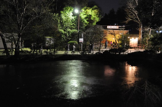 20150104 氷川神社に初詣DSC_0120