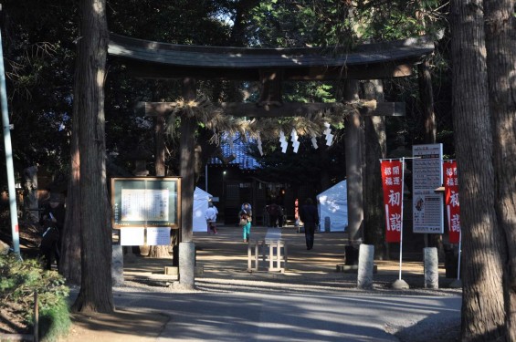 氷川三社に初詣　中山神社DSC_0049