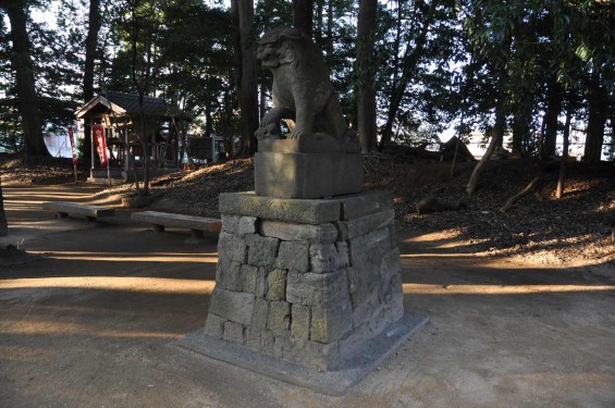 氷川三社に初詣　中山神社 狛犬DSC_0074