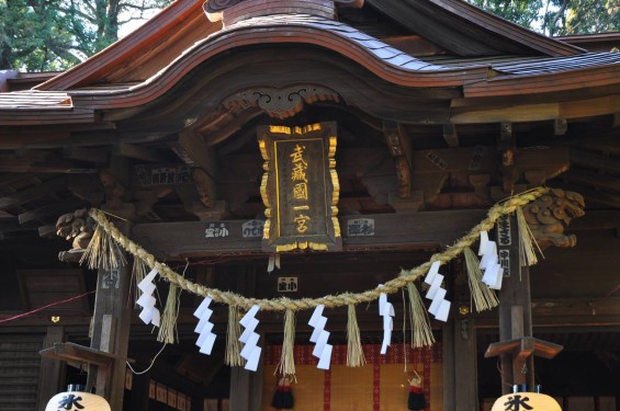 氷川三社に初詣　氷川女体神社DSC_0021拝殿