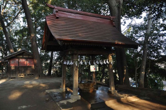 氷川三社に初詣　氷川女体神社DSC_0008手水舎