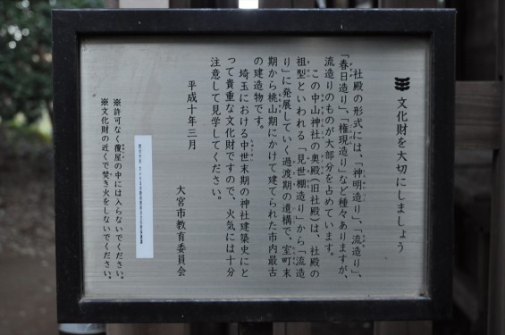 氷川三社に初詣　中山神社DSC_0064