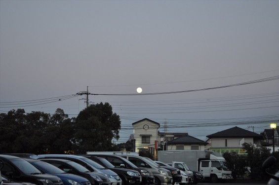 20150104 氷川神社に初詣DSC_0080